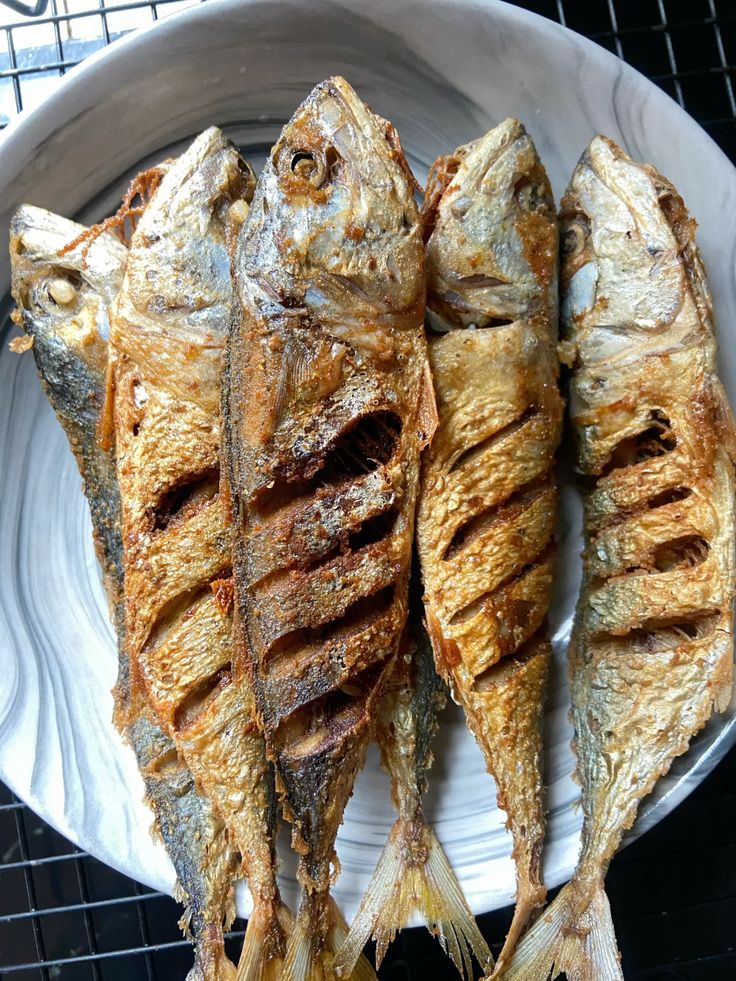Ikan Gembung