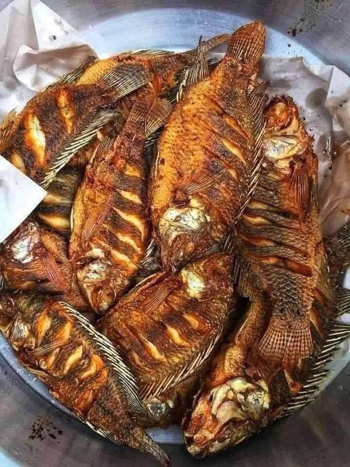 Nila Goreng